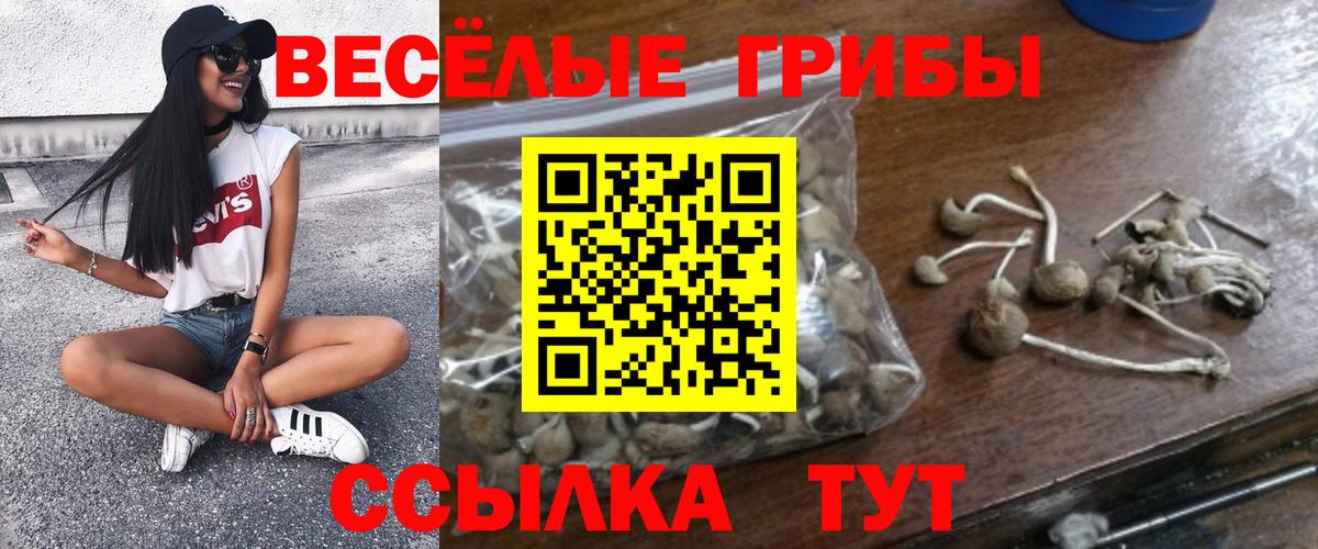 Галлюциногенные грибы Cubensis  Вход с VPN  Заволжье 